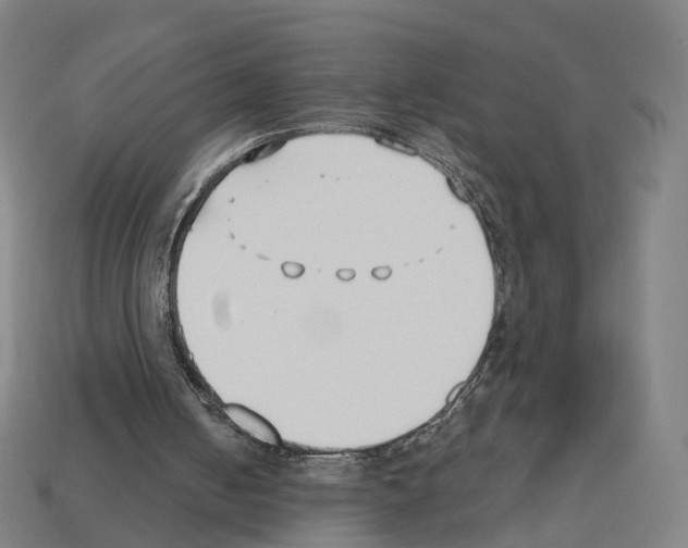 X0000112540050200909281107