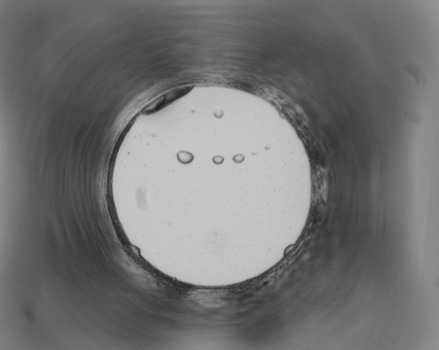 X0000112540051200909281107