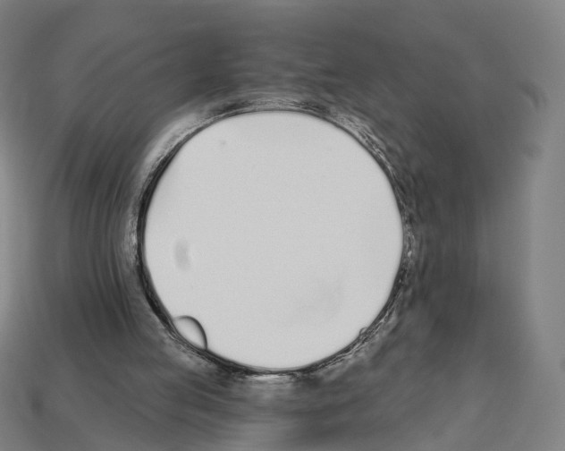 X0000112540053200909281107