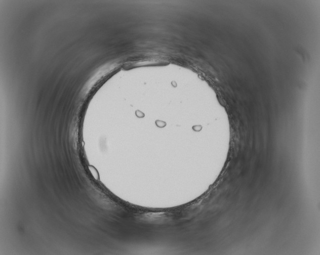X0000112540054200909281107