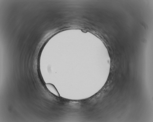 X0000112540055200909281107