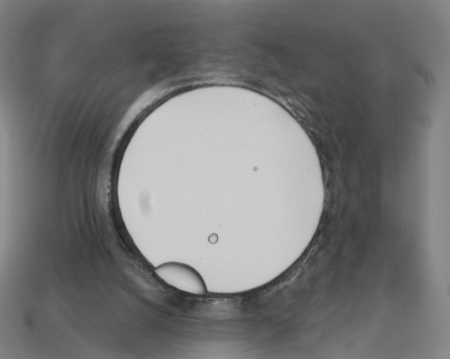 X0000112540056200909281108