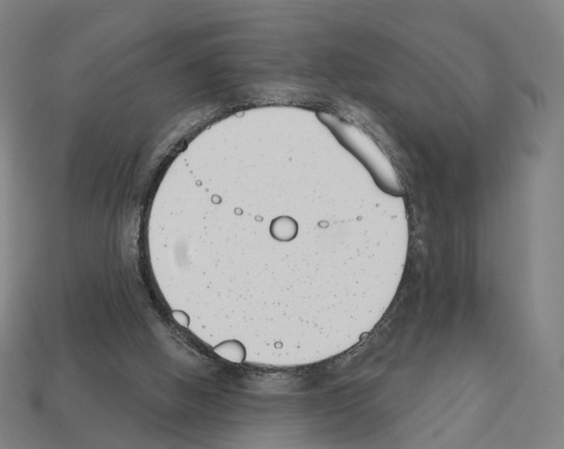 X0000112540058200909281108