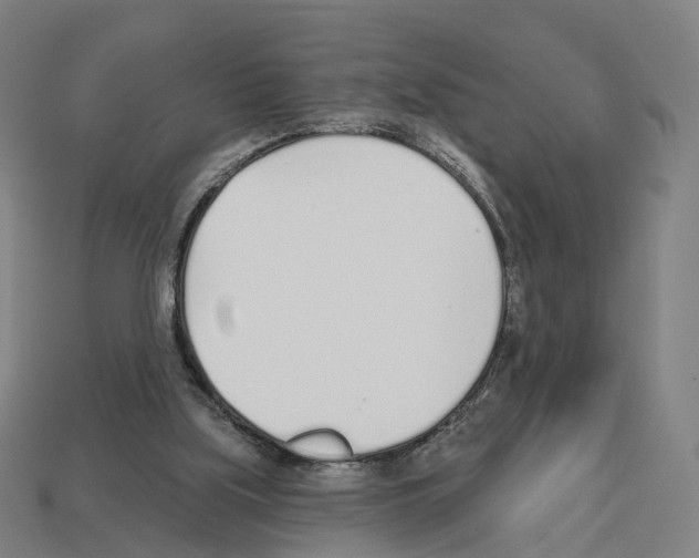 X0000112540059200909281108