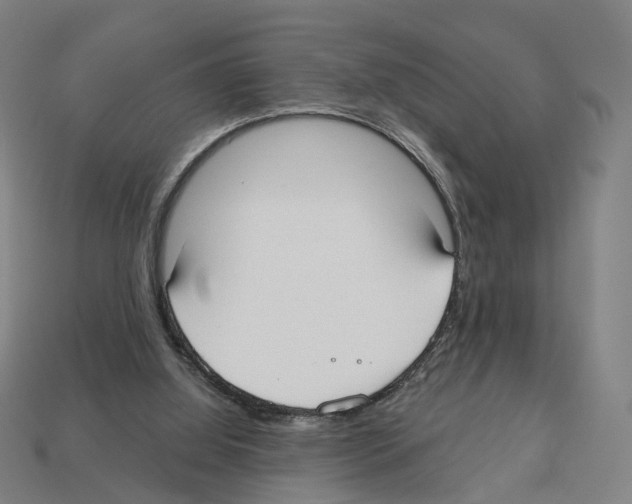 X0000112540060200909281108