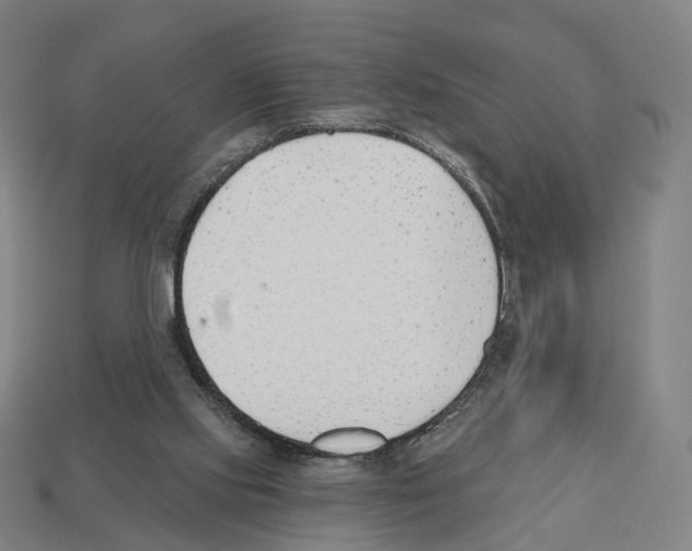 X0000112540061200909281108