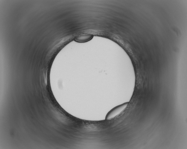 X0000112540062200909281108