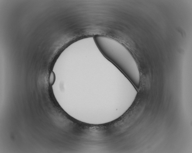 X0000112540064200909281108