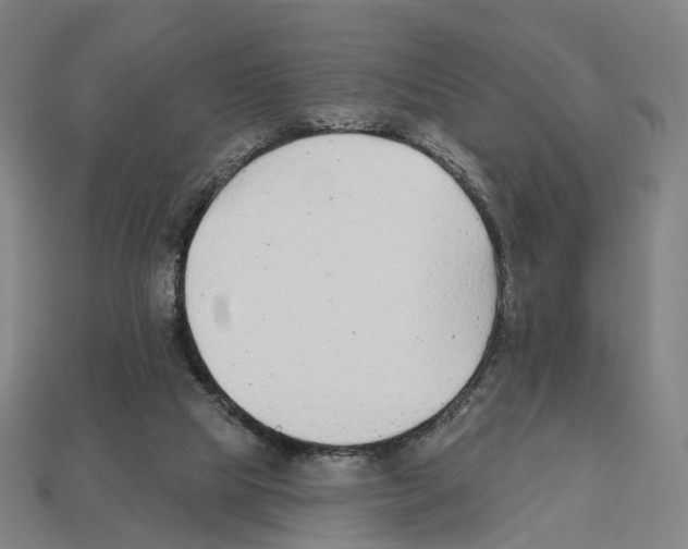 X0000112540065200909281108