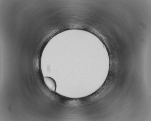 X0000112540067200909281108