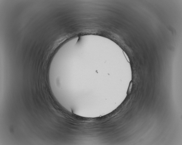 X0000112540068200909281108