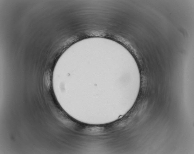 X0000112540069200909281108