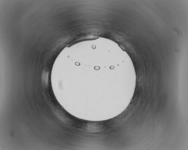 X0000112540070200909281108