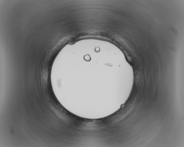 X0000112540072200909281108