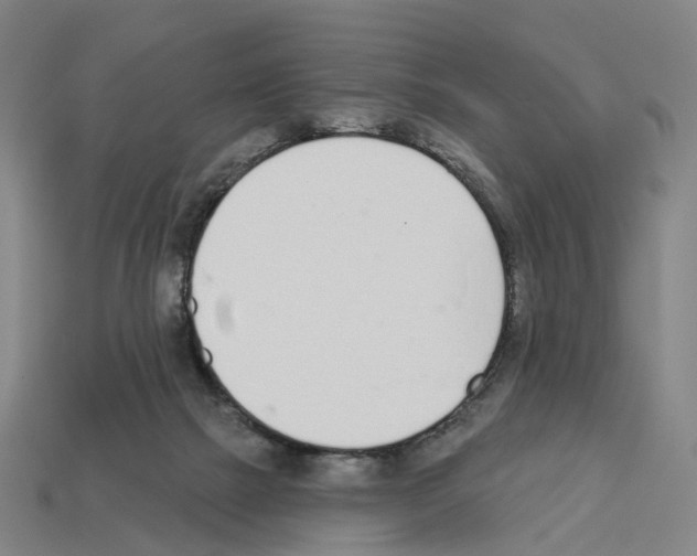 X0000112540073200909281108