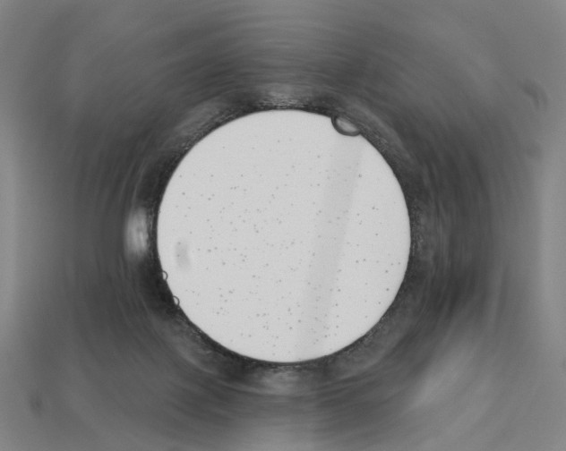 X0000112540075200909281108