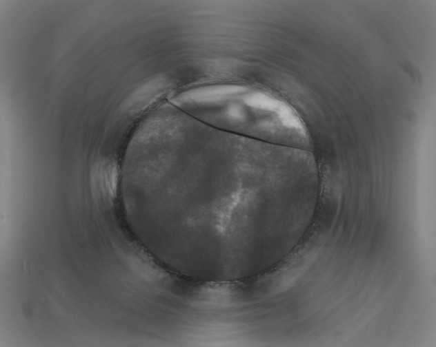 X0000112540076200909281108