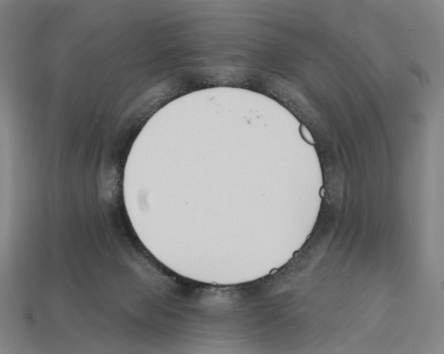 X0000112540077200909281108