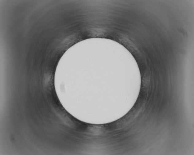 X0000112540079200909281108
