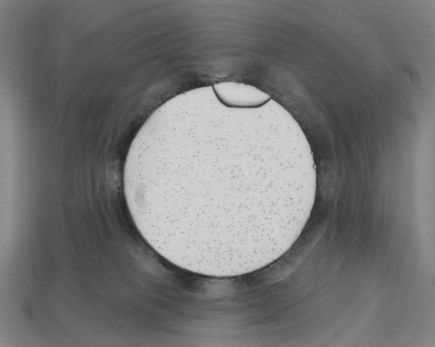 X0000112540085200909281108