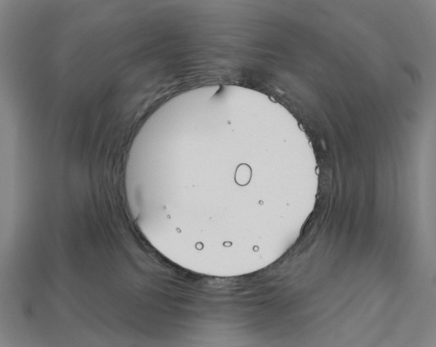 X0000112540088200909281108
