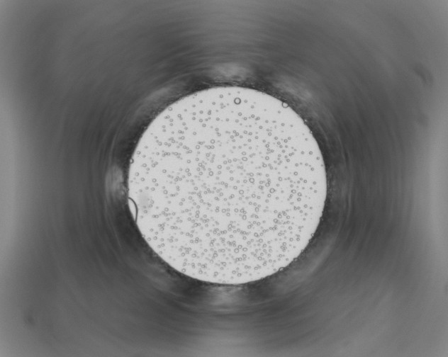 X0000112540089200909281108