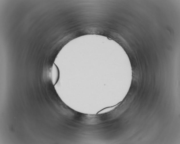 X0000112540095200909281108