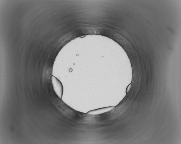 X0000112540096200909281108