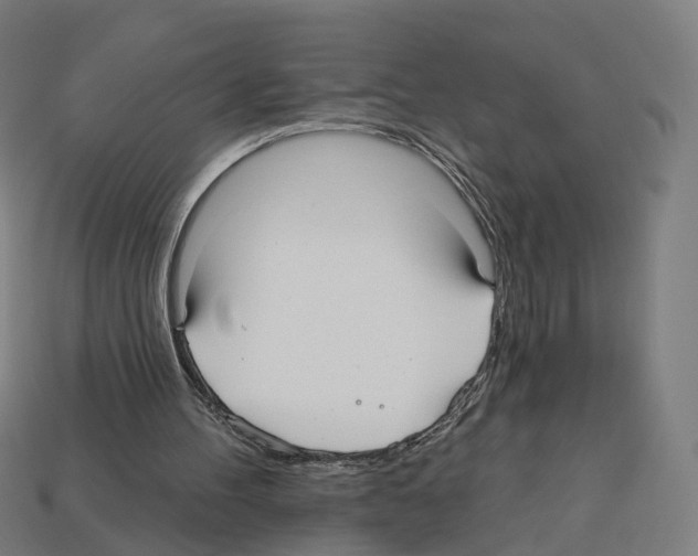 X0000112540100200909281107