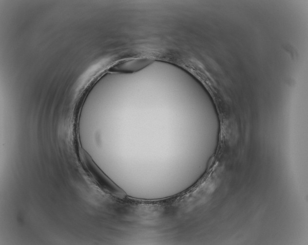 X0000112540101200909281107