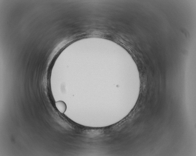 X0000112540102200909281107