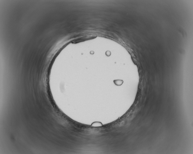 X0000112540103200909281107