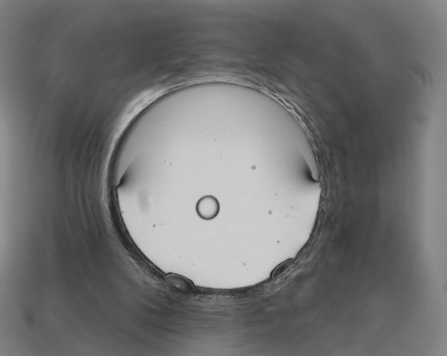 X0000112540104200909281107