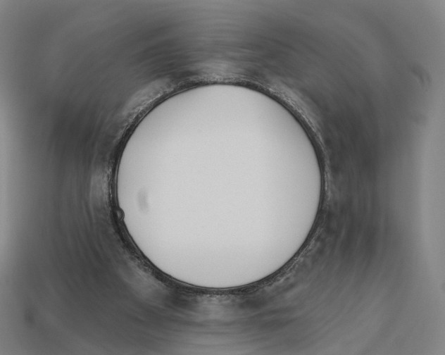 X0000112540105200909281107