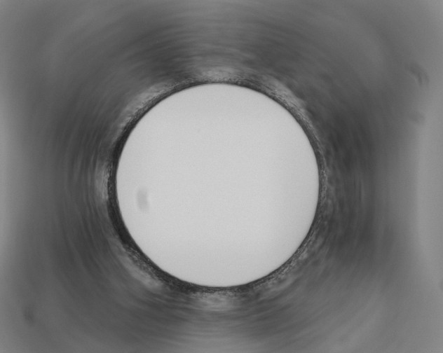 X0000112540106200909281107