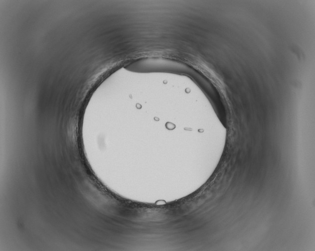 X0000112540107200909281107