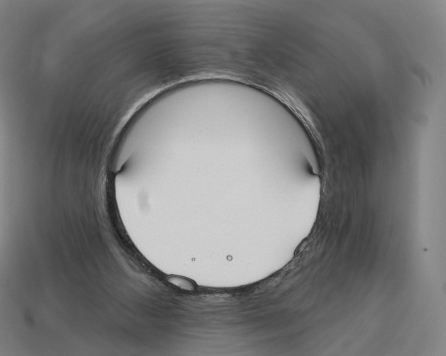 X0000112540108200909281107