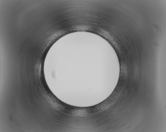 X0000112540110200909281107