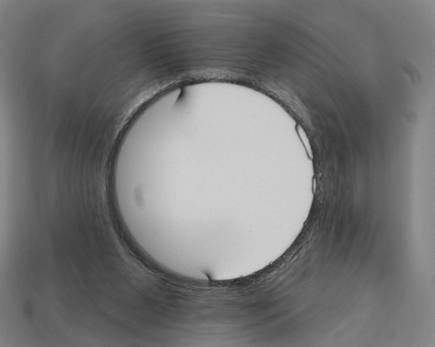 X0000112540111200909281107