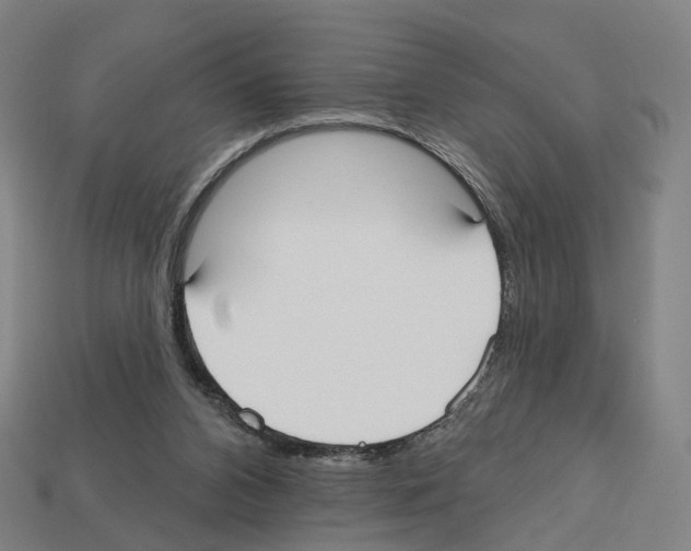 X0000112540112200909281107