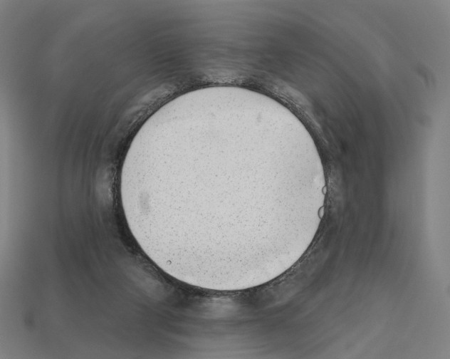 X0000112540114200909281107