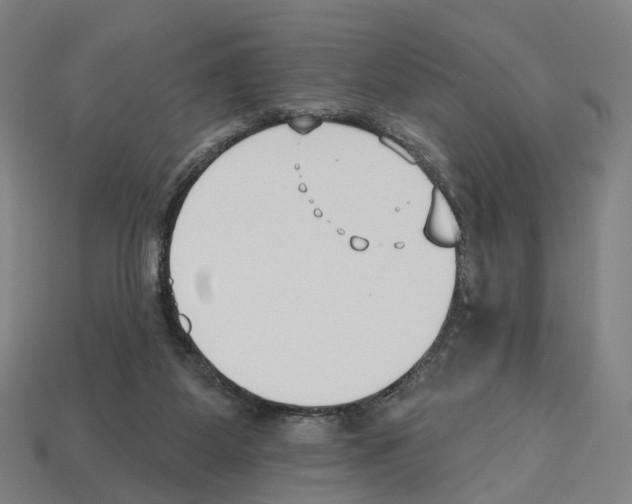 X0000112540115200909281107
