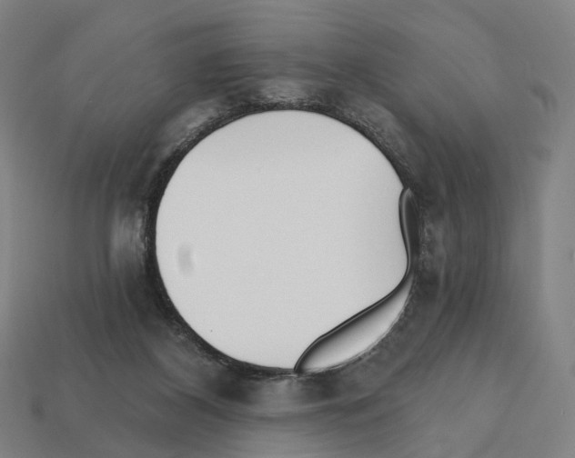 X0000112540116200909281107