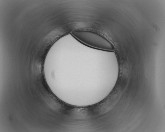 X0000112540117200909281107