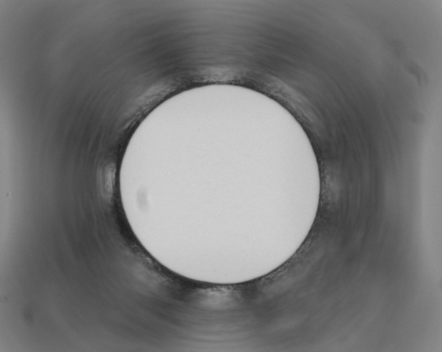 X0000112540118200909281107
