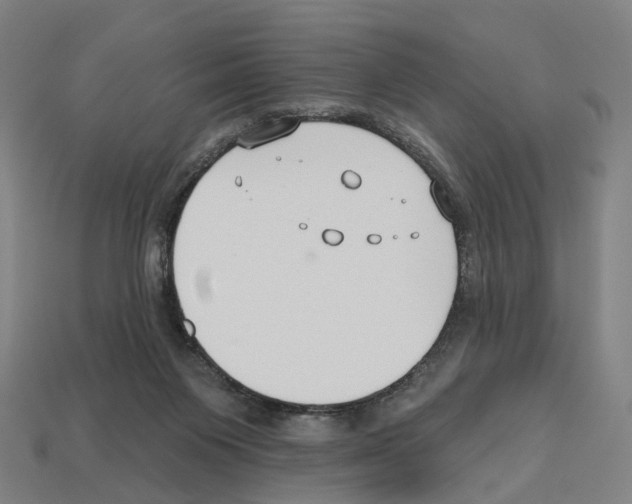 X0000112540119200909281107