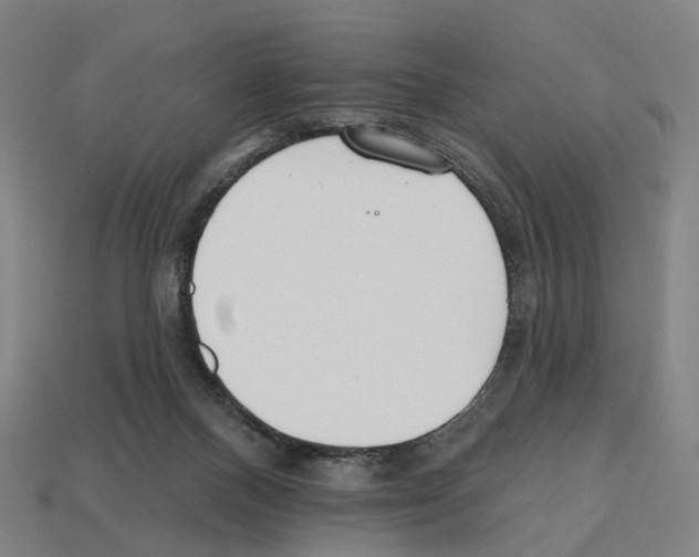 X0000112540120200909281107