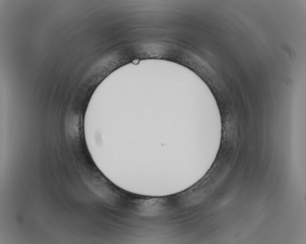 X0000112540122200909281107