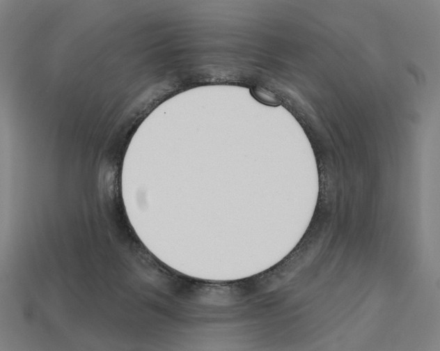 X0000112540123200909281107