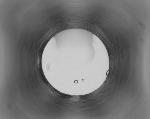 X0000112540124200909281107